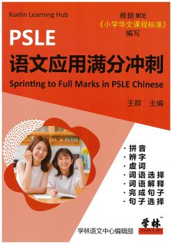 PSLE 语文应 用满分冲刺